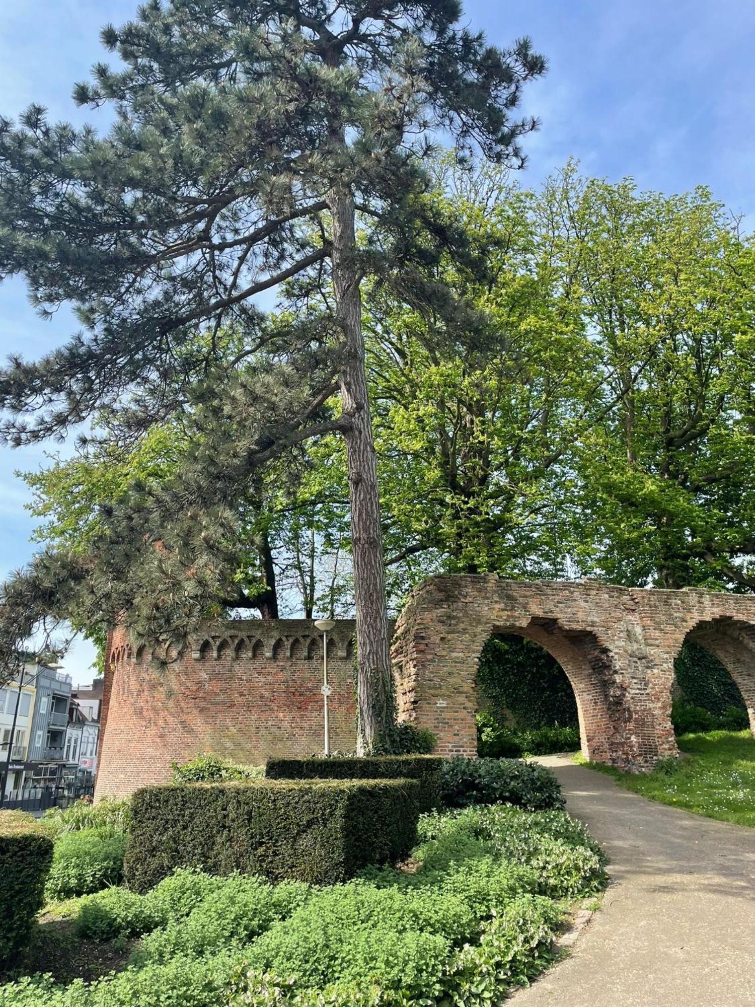 Stadsappartement Valkhof Nijmegen Zewnętrze zdjęcie
